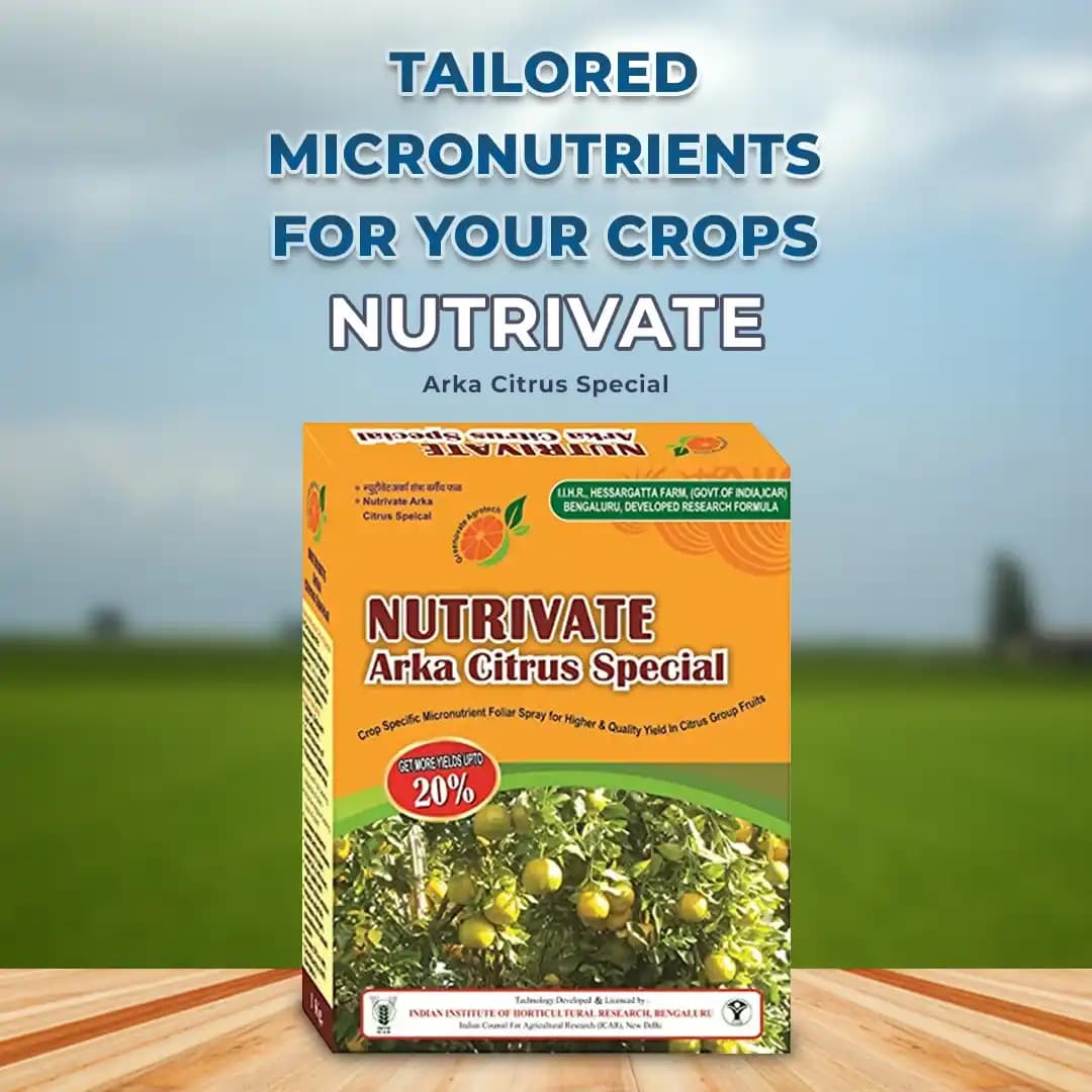 Greenovate Nutrivate Arka Citrus Special, Mix Micronutrients (Zinc, Ferrous, Boron, Manganese, Copper, Magnesium, Molybdenum & Other) - Image 2