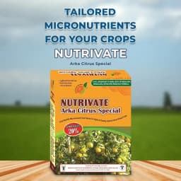 Greenovate Nutrivate Arka Citrus Special, Mix Micronutrients (Zinc, Ferrous, Boron, Manganese, Copper, Magnesium, Molybdenum & Other) 2