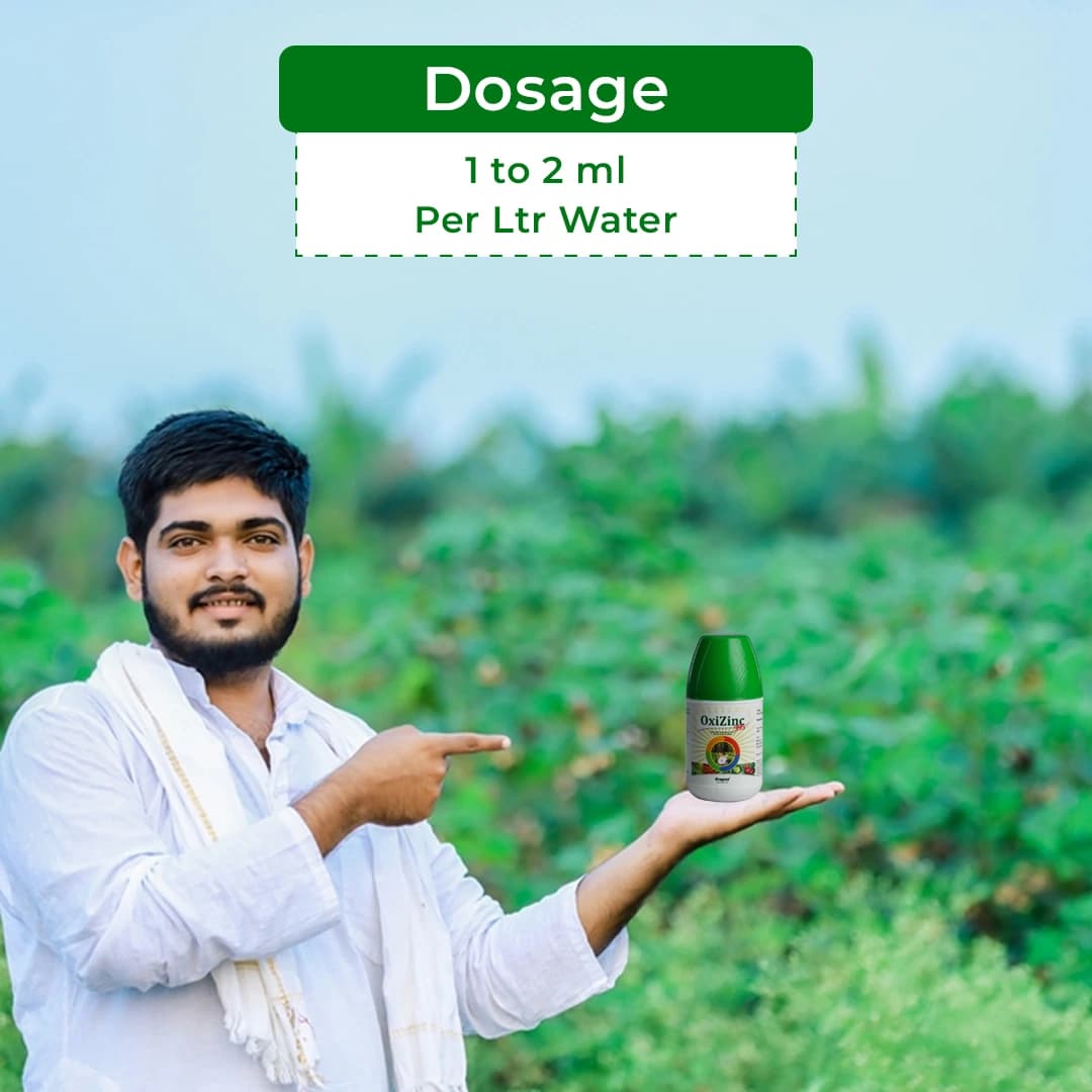 ऑक्सीजिंक-395, जिंक ऑक्साइड 39.5% सूक्ष्म पोषक तत्व, जिंक उर्वरक, धान, गन्ना, मक्का, कपास, सब्जियां, अदरक, आदि के लिए उपयोग किया जाता है। - Image 5