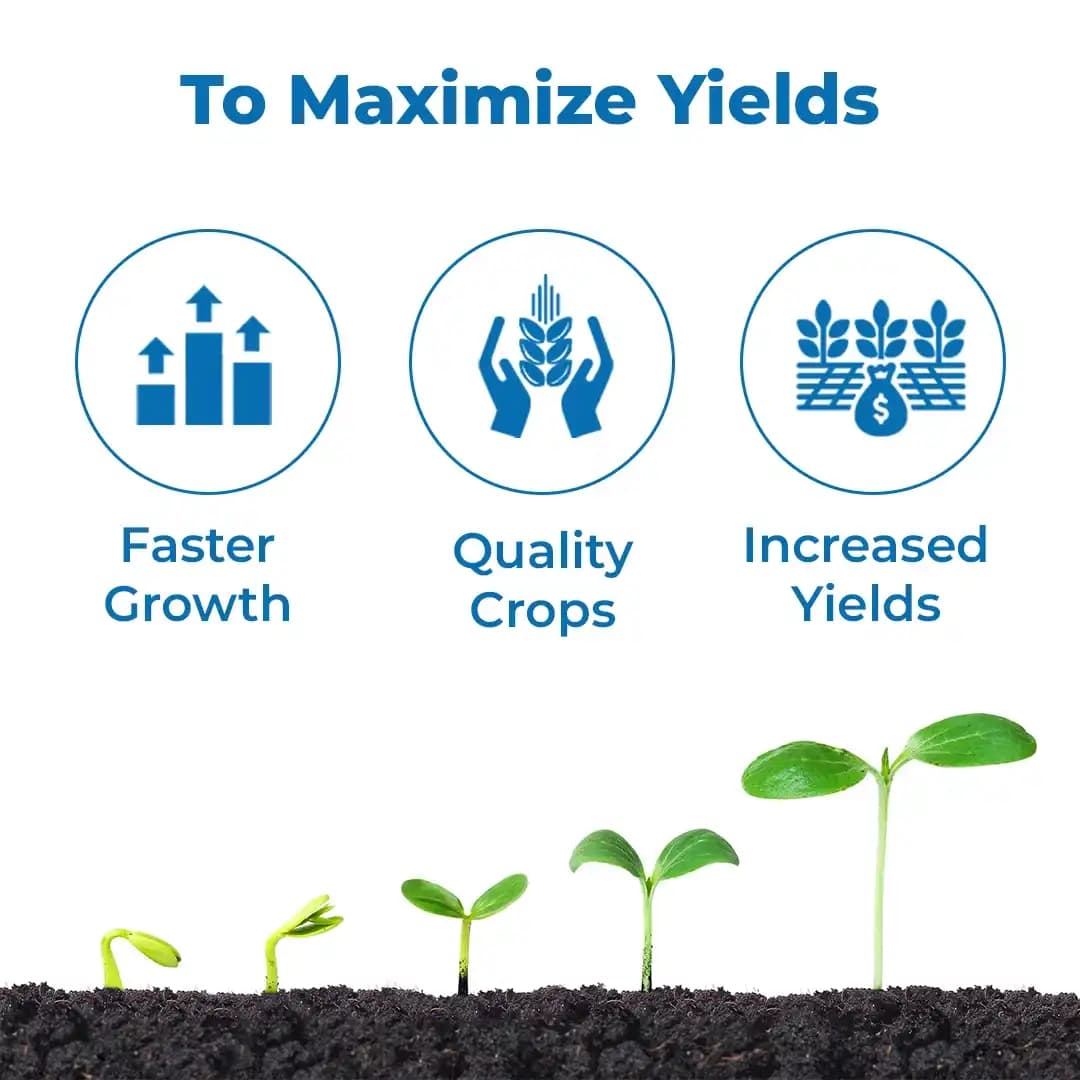 Gharda Chamatkar Growth Regulator, Mepiquat Chloride 5% Aqueous Solution, Excessive Vegetative Growth and Increase Crop Yield - Image 3