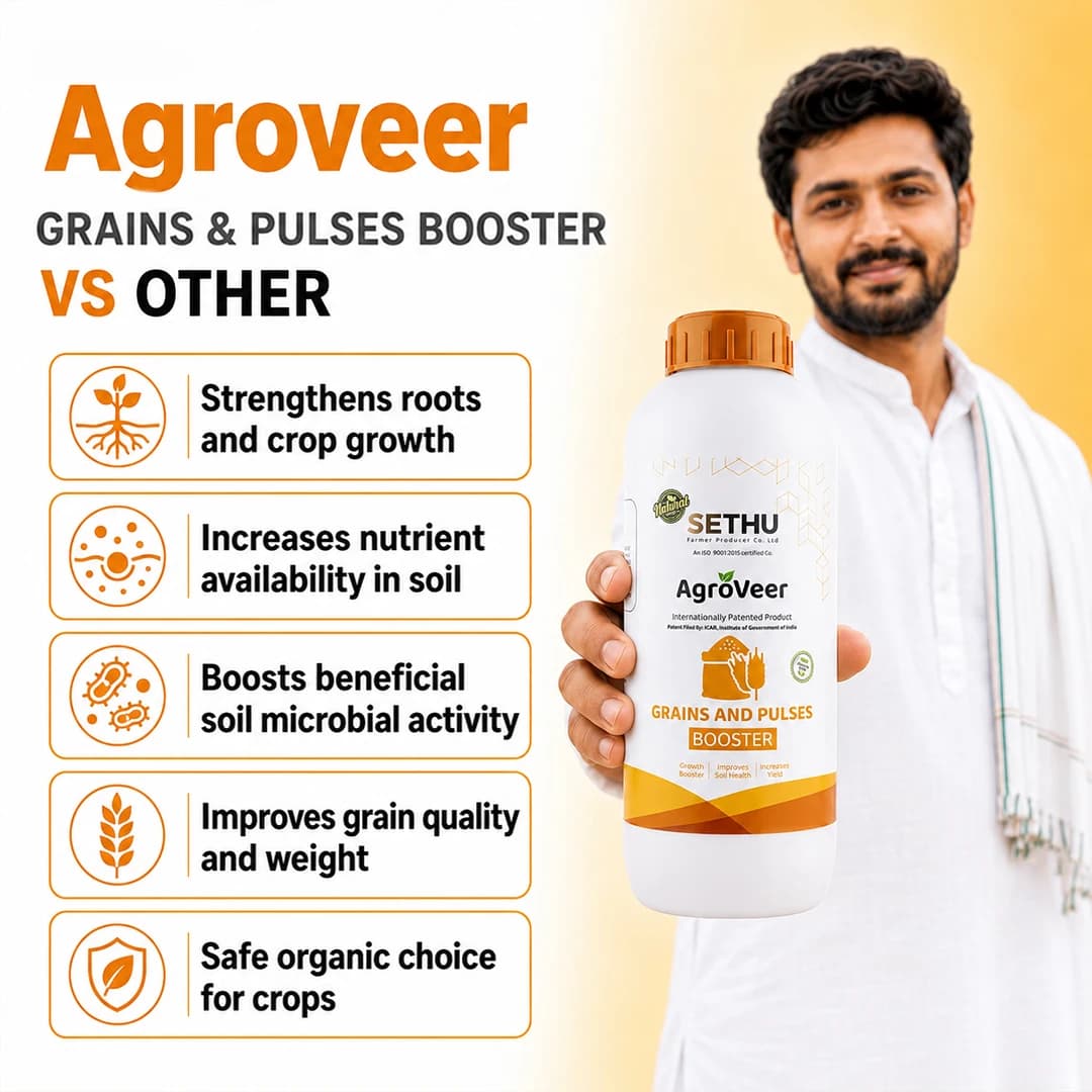 Agroveer Grains & Pulses Booster, Growth Booster, Increase Yield And Improves Soil Health, ICAR Patented Product. - Image 2