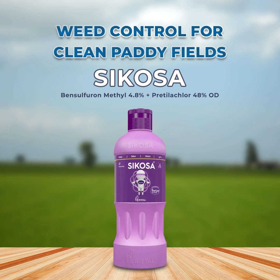 Crystal Sikosa Herbicide
