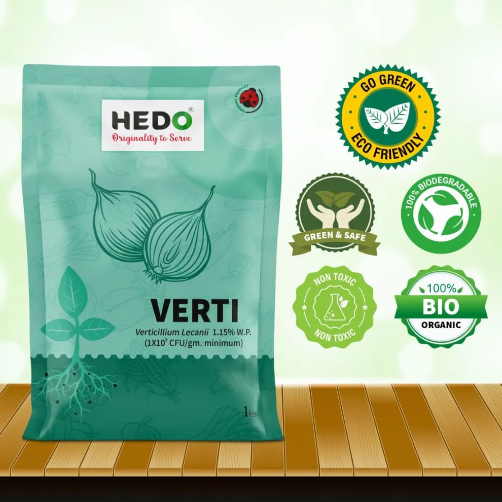 HEDO Verti (Verticillium Lecanii 1.15% Wp) Bio Pesticide, Targets A Wide Range Of Pests Like Aphids, Thrips, Etc - Image 11