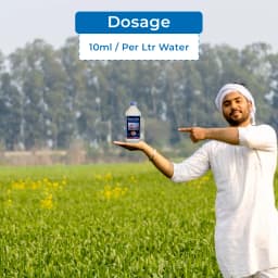 Shivalik House Care AlphaCypermethrin, 10% SC, Used for Indoor Residual Spray to Control Mosquitoes, Houseflies, Cockroaches 5