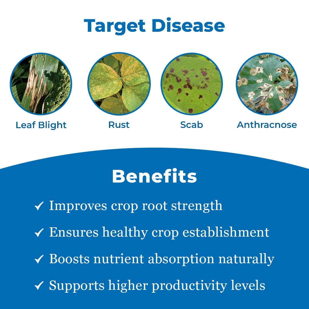 Katyayani KTM Fungicide - Thiophanate Methyl 70 % WP - Image 3