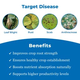 कात्यायनी के-टी-एम थायोफेनेट मेथाइल 70% डब्ल्यूपी, फफूंदनाशक - पौधों में आई स्पॉट, चूर्णिल आसिता,झुलसा ग्रे मोल्ड और एप्पल पपड़ी रोग नियंत्रण के लिए 3