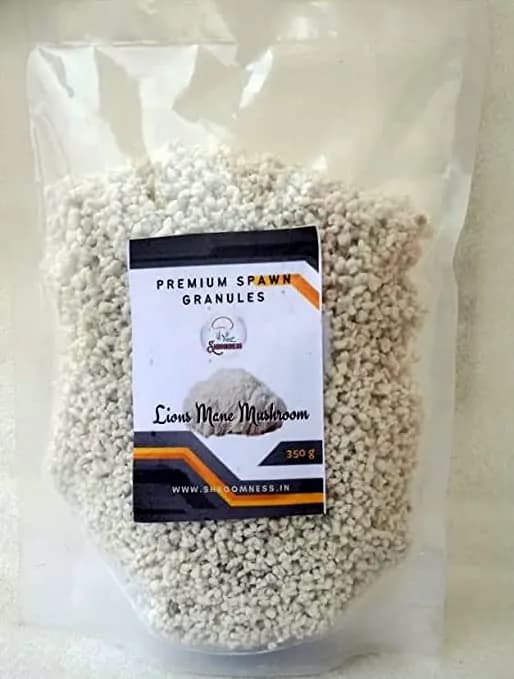 Shroomness Premium Spawn Granules, Lion\'s Mane Mushroom (Seeds) Mushroom seed