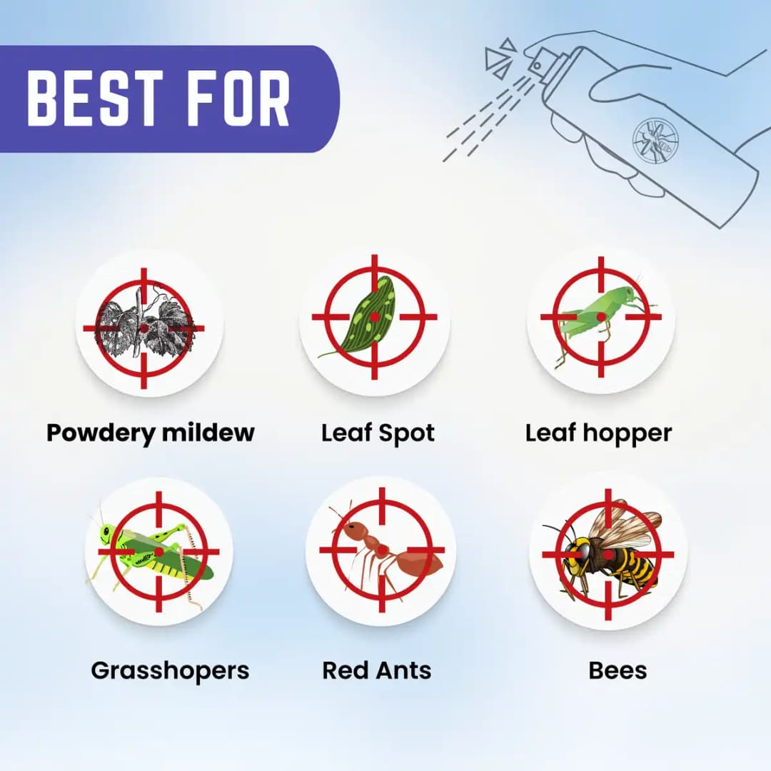 Katyayani Tebusul Tebuconazole 10% + Sulphur 65% WG Effective Fungicide for Plants & Home Garden - Image 6