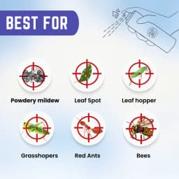 Katyayani Tebusul Tebuconazole 10% + Sulphur 65% WG Effective Fungicide for Plants & Home Garden 6