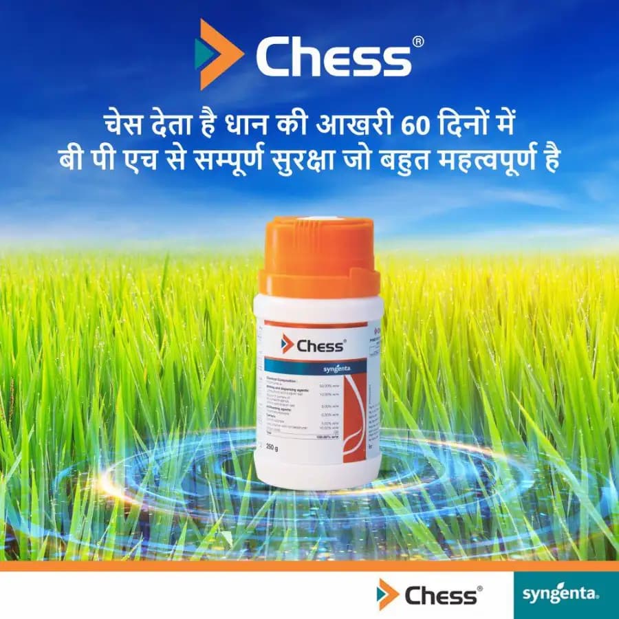 Syngenta Chess Insecticide - Image 2