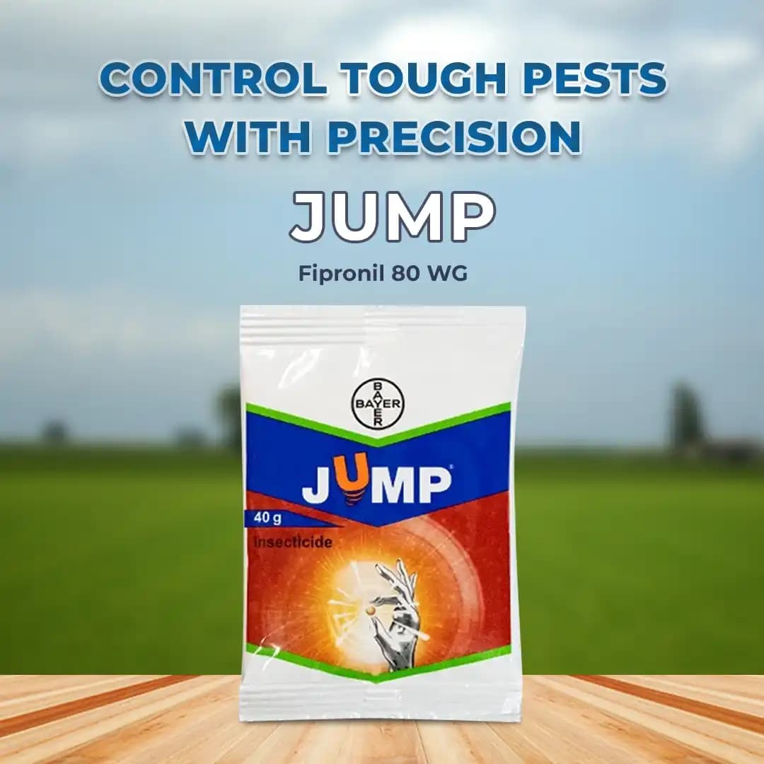 Bayer Jump WG - Fipronil 80 WG (80% ww) Used To Control Insects, Effective in controlling stem borer and leaf folder in rice - Image 2