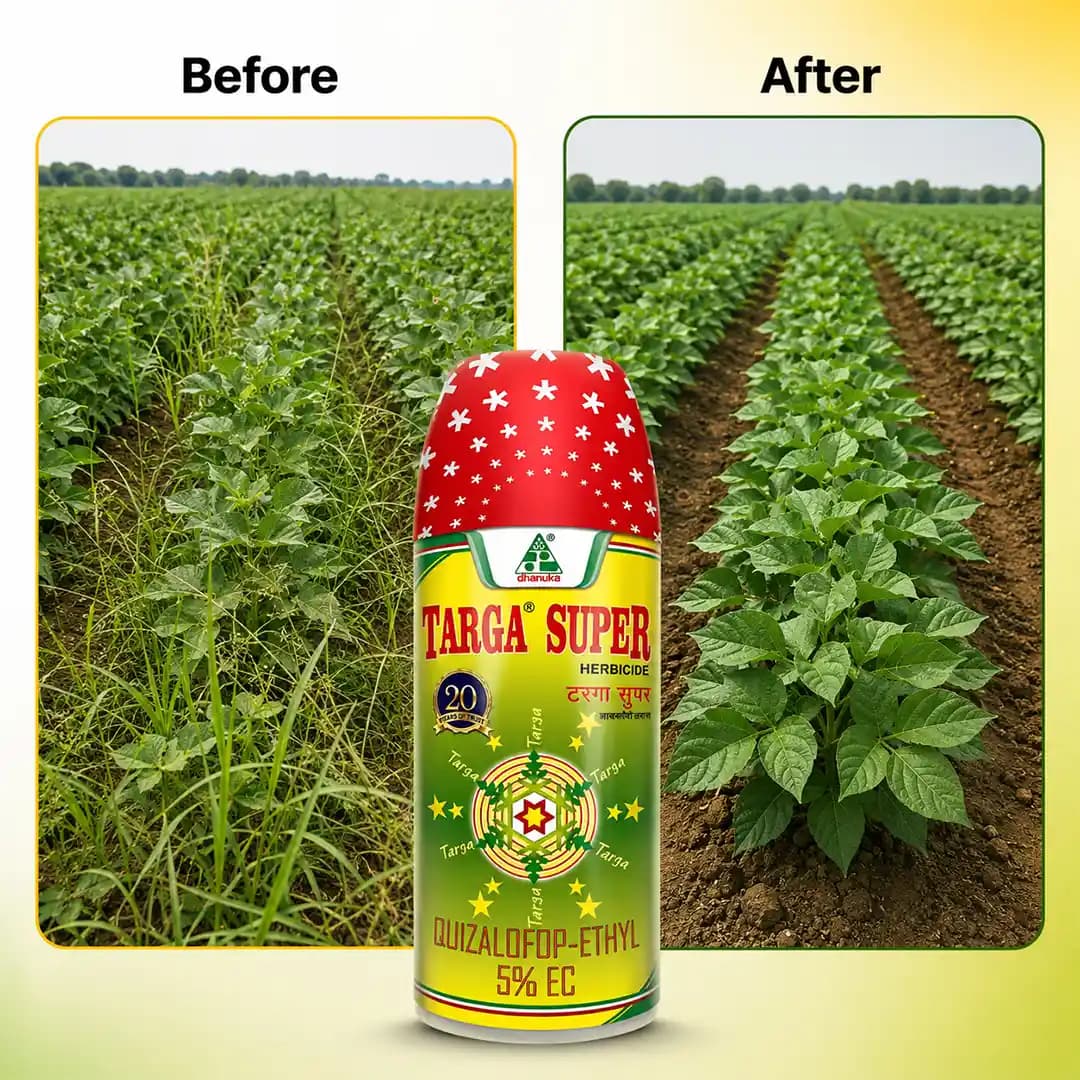Dhanuka Targa Super Herbicide - Quizalofop-ethyl 5% EC - Image 6
