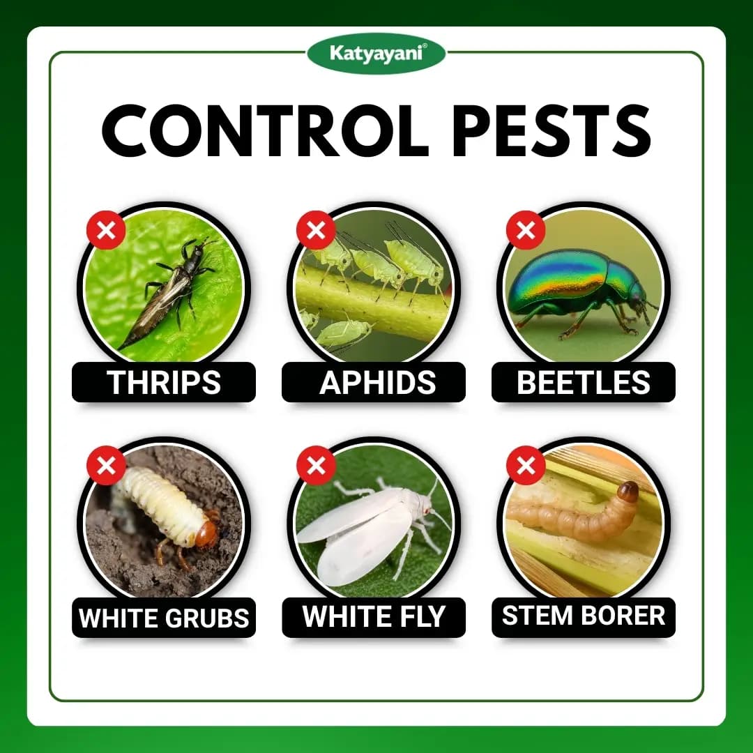 Katyayani Nashak Insecticide - Contact And Systemic Insecticide - Image 3