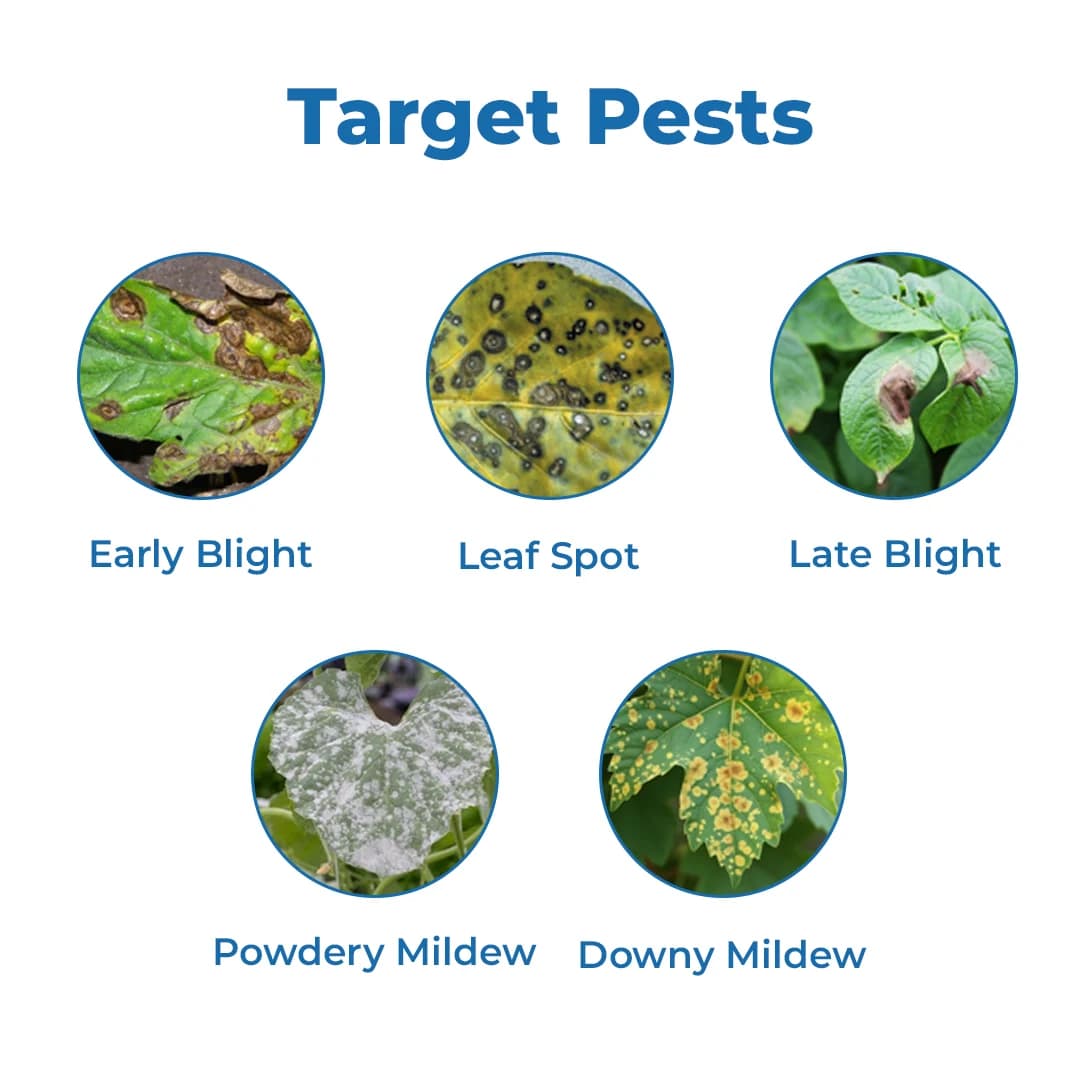 EBS C-ZEB Fungicide - Image 3