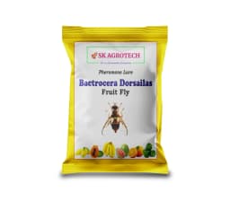 SK Agrotech Bactrocera Dorsalis Fruit Fly Pheromone Trap With Lure - Effective Solution For Mango, Papaya, Sapota, Etc. 2