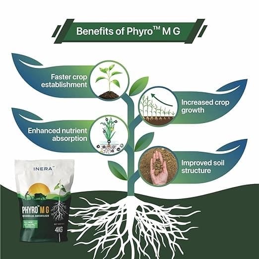 Inera PHYRO MG Mycorrhizal Bio Fertilizer, Eco-Friendly Fertilizer For Better Plant Health and Increased Crop Yield - Image 3