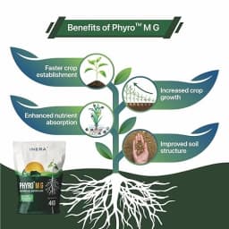 Inera PHYRO MG Mycorrhizal Bio Fertilizer, Eco-Friendly Fertilizer For Better Plant Health and Increased Crop Yield 3