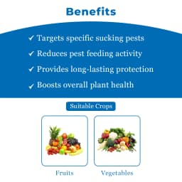 Katyayani BPH SUPER Pymetrozine 50% WG Systemic Insecticide For Control Rice Plant Hopper Paddy Brown Plant Hopper & All Stages of Aphids, Whiteflies 3