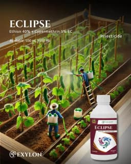 Exylon Eclipse Ethion 40% + Cypermethrin 5% EC Insecticide, Broad Spectrum, Effective For Wide Range Of Crop Pests 2