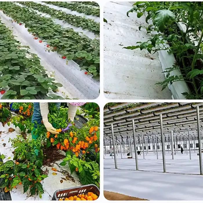 Singhal 150 GSM Weed Barrier Sheet, Landscape Fabric, Heavy Duty, Weed Block Gardening Mat For Gardens (White) - Image 9