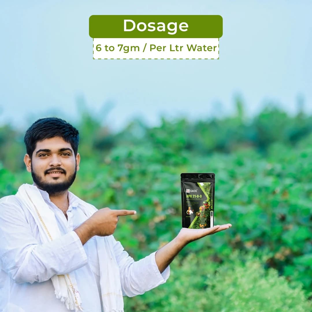 GACIL NPK 21-0-0 - Ammonium Sulphate Fertilizer - Image 5