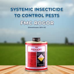 FMC Rogor - Dimethoate 30% EC, Effective Against Aphids, Thrips, Mites And White Flies 2