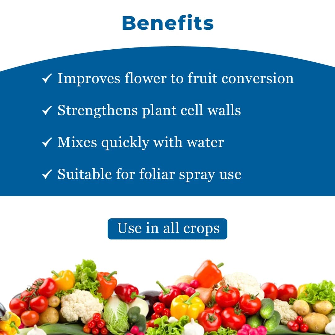 EBS Boron 20% Fertilizer - 25Kg - Image 5