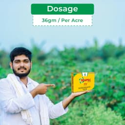 Dhanuka SEMPRA Halosulfuron Methyl 75% WG Herbicide, Post-Emergence, Cyperus Control In Crops 5