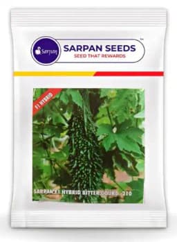 Sarpan 210 F1 Hybrid Bitter Gourd Seeds, High Yield And Suitable For All The Seasons 1