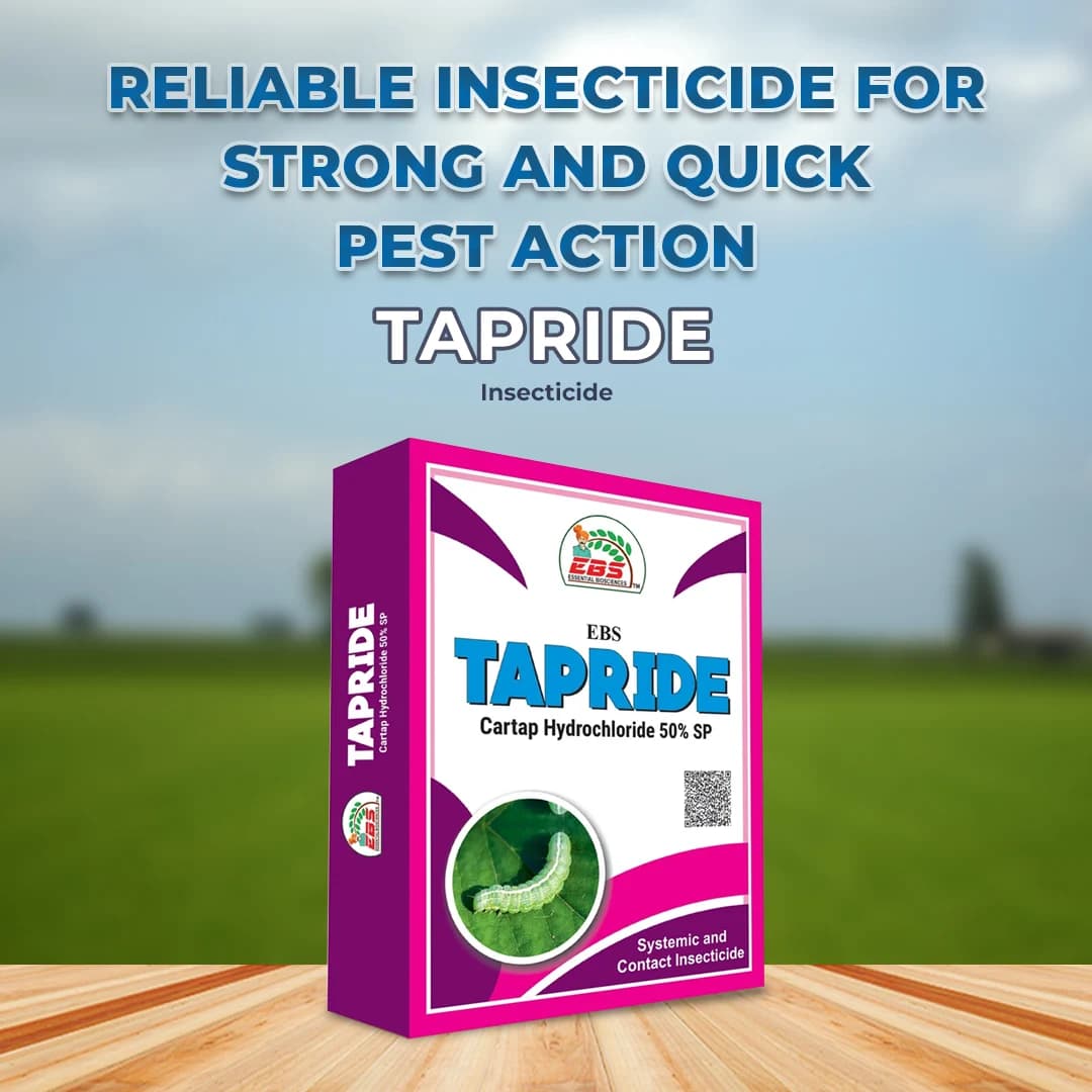 EBS Tapride Insecticide - Image 3