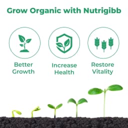 BACF Nutrigibb Gibberellic Acid 0.001% L, Plant Growth Regulator, For Better Yield 3