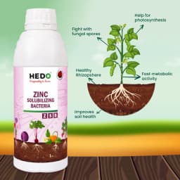 HEDO Zinc Solubilizing Bacteria (ZSB) Liquid Bio Fertilizer, For All Plants, Agricultural & Garden, Helps to Improves Soil Fertility 5