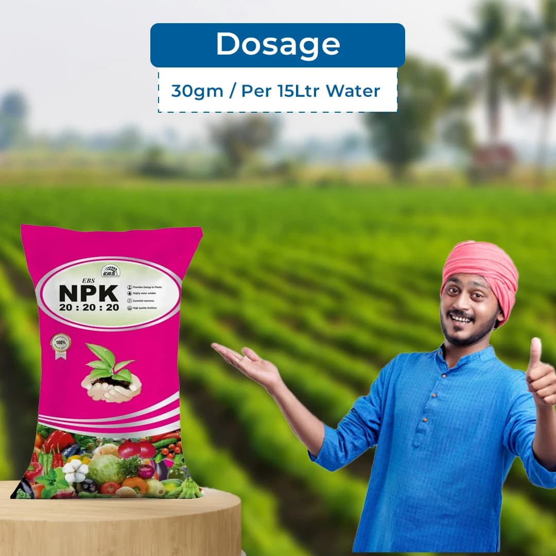 EBS NPK 20:20:20 Water Soluble Fertilizer, Improves Yield of Crops, Provides High Amount Of Essential Plant Nutrients - Image 5