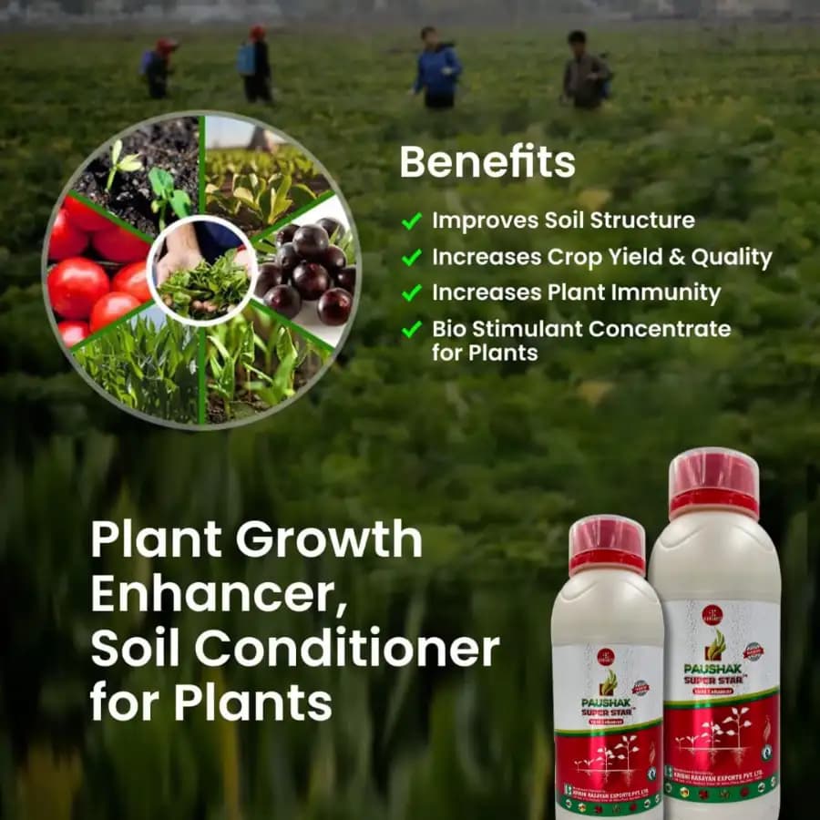 Krishi Rasayan PAUSHAK SUPER STAR Gibberellic Acid 0.45% SL Plant Growth Stimulant, Improve Flowering, Fruiting And Chlorophyll In Crops - Image 3