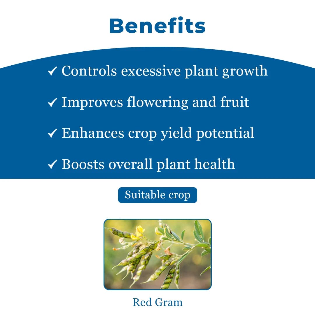 Excel Sumitomo Vidyut Paclobutrazol 40% SC, Plant Growth Promoter, For Enhancing Fruiting and Flowering - Image 4