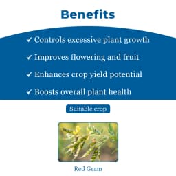 Excel Sumitomo Vidyut Paclobutrazol 40% SC, Plant Growth Promoter, For Enhancing Fruiting and Flowering 4