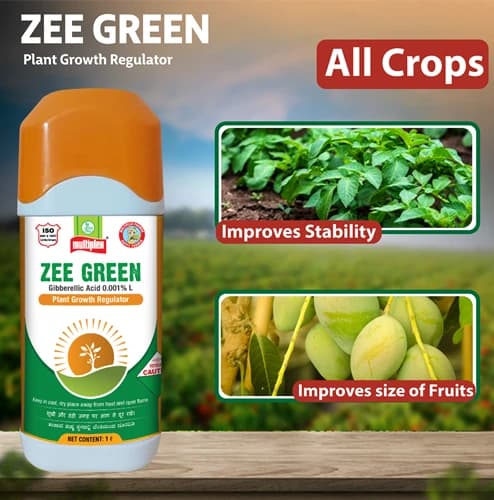 Multiplex Zee Green Gibberellic Acid 0.001% L Plant Growth Regulator, Boosts Yields of Fruits and Vegetables - Image 3