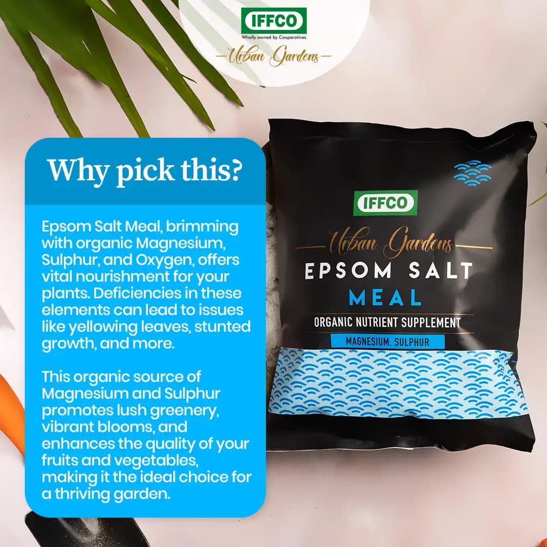 IFFCO Urban Garden Epsom Salt Meal, Organic Magnesium Sulphate Fertilizer For Plants, Home And Garden Nutrient Supplement - Image 5