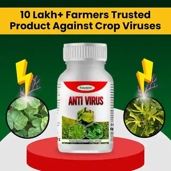 Katyayani Anti Virus Broad Spectrum Organic Virucide For All Viral Plant Diseases - Image 3
