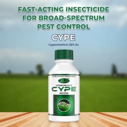 Agriventure Cype (Cypermethrin 25% Ec) Insecticide, Pyrethroid Ester Group Of Insecticides 2