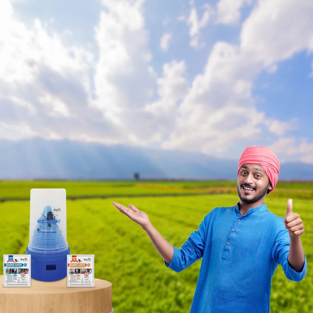 Barrix House Fly Domo Trap With Combo Of Kairo And Phreo Lure, Best For Housefly, Highly Pure Para-Pheromones, Toxic Free Lure. - Image 5