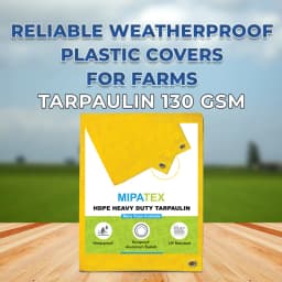 मिपाटेक्स तिरपाल 130 जीएसएम, वाटरप्रूफ हैवी ड्यूटी, पॉली टार्प, बहुउपयोगी (पीला) 2