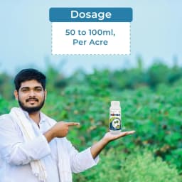 Bomba - Imidacloprid 17.8% SL Insecticide, Effective Against Jassids, Aphids, Thrips, and Leaf Hoppers 5