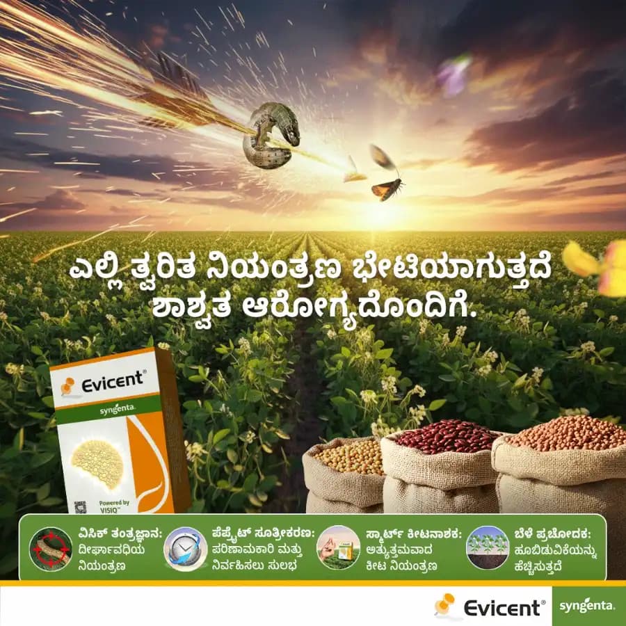 Syngenta Evicent Emamectin Benzoate 5% + Lufenuron 40% WG Insecticide, Effective For Lepidopteran, FAW, DBM, Helicoverpa Pests Control - Image 4