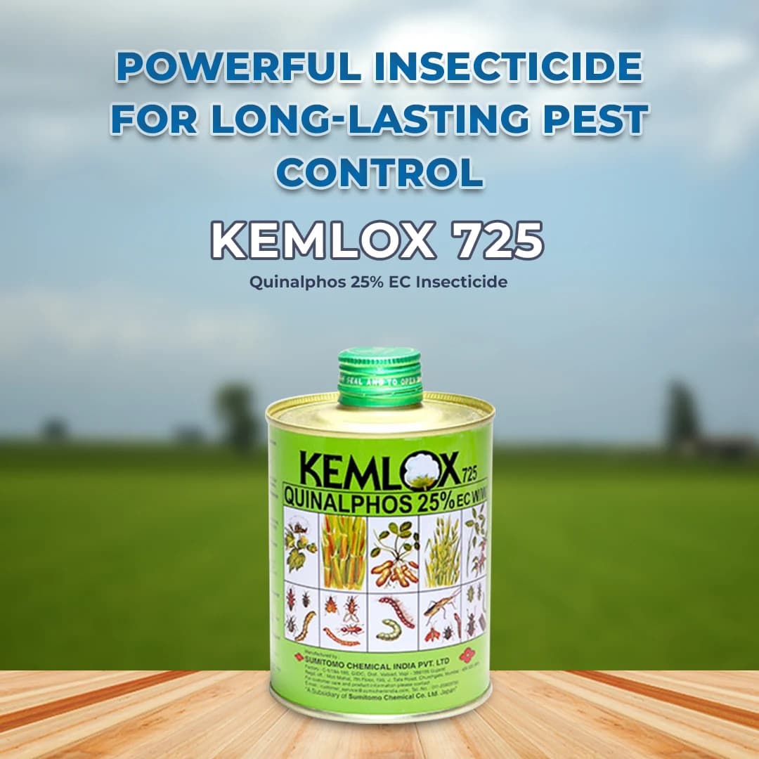 Sumitomo Kemlox 725 Quinalphos 25% EC Insecticide, Sucking And Chewing Pests In Cotton, Paddy And Oilseeds - Image 2