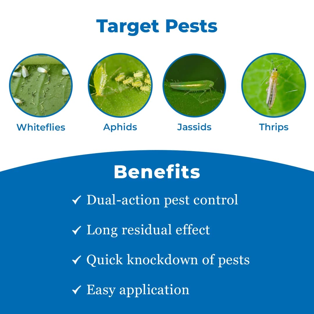 Bayer Solomon Insecticide - Image 3