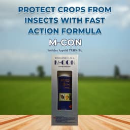 सुमितोमो एम-कॉन इमिडाक्लोप्रिड 17.8% एसएल प्रणालीगत कीटनाशक, रस चूसने वाले कीड़ों और दीमकों का नियंत्रण 2