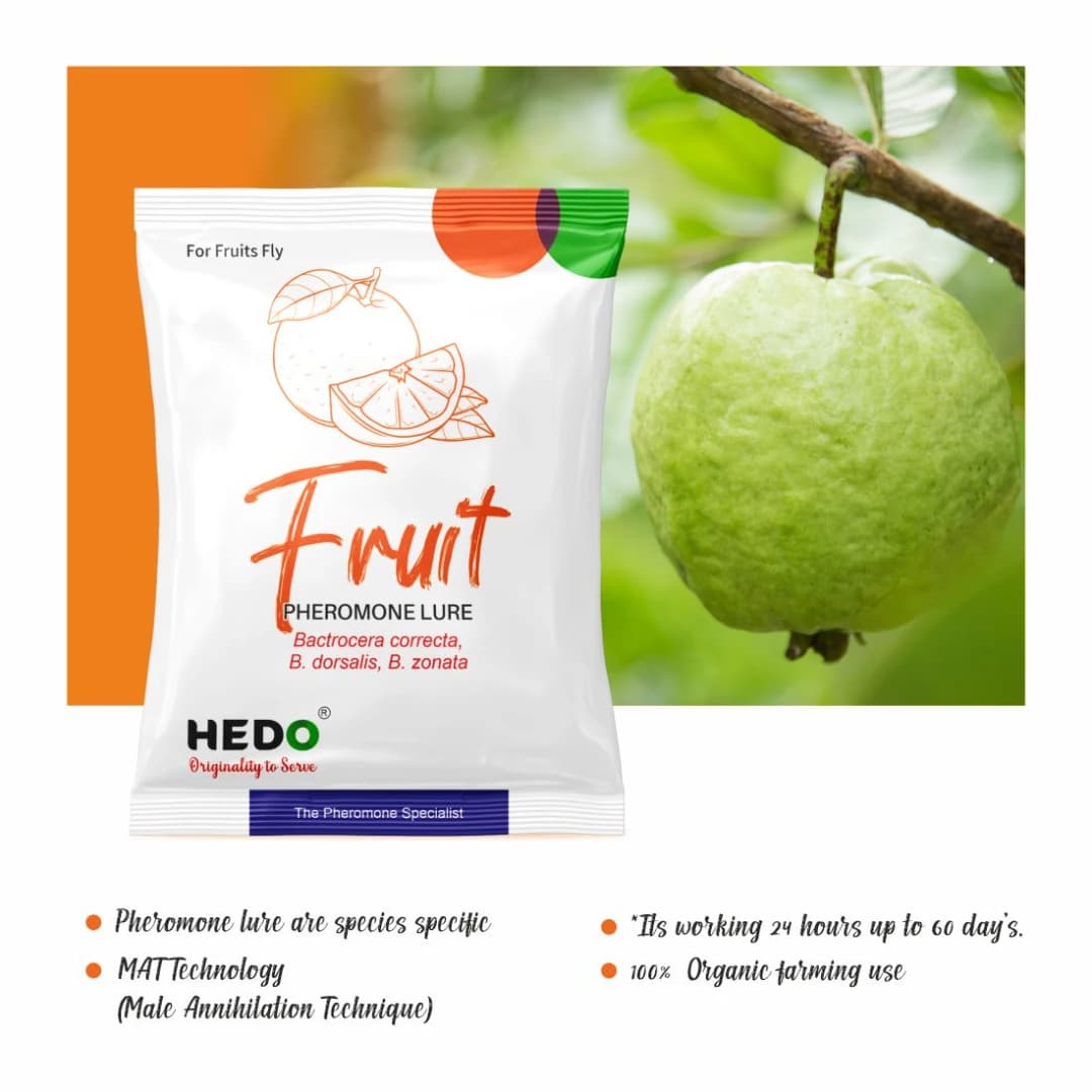HEDO Fruit Fly Trap And Fruit Fly Lure (Bactrocera Correcta, Bactrocera Zonata, Bactrocera Dorsalisa) Control Fruit Fly In All Fruits - Image 2