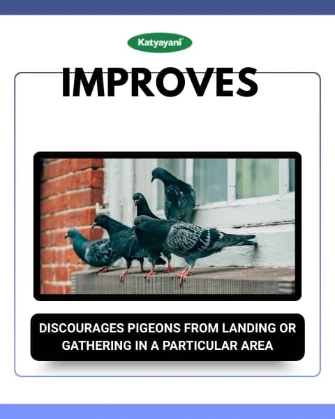 Katyayani Pigeon Repellent - Image 7