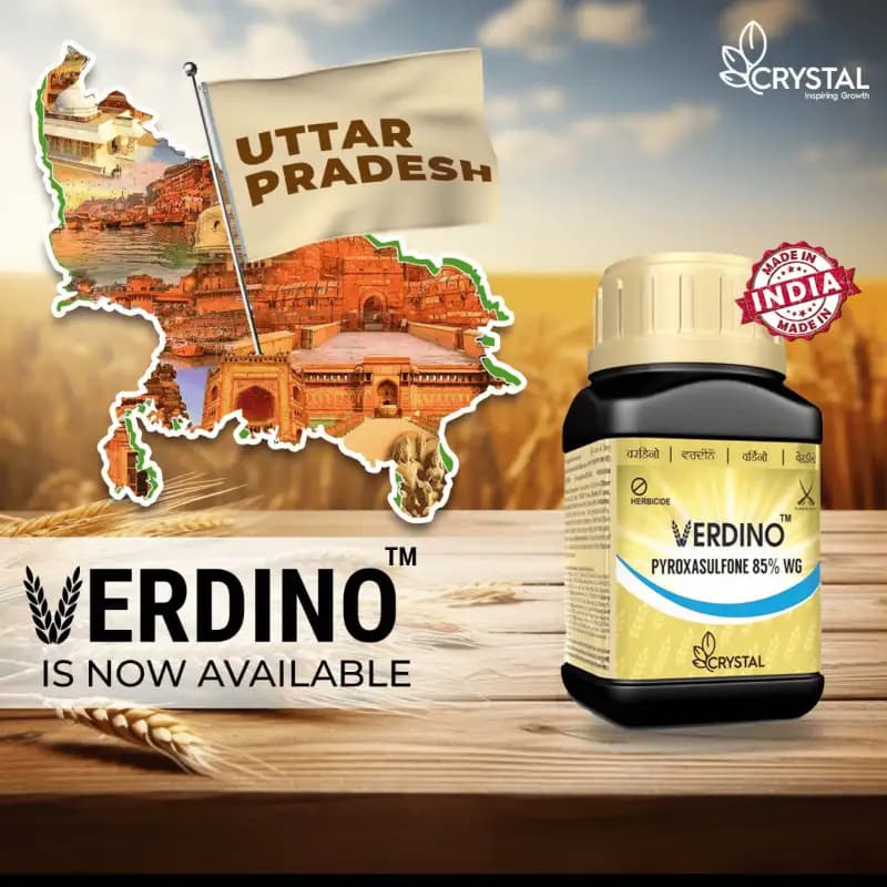 Crystal VERDINO Pypoxasulfone 85% WG Herbicide, Effective For Wheat - Image 6